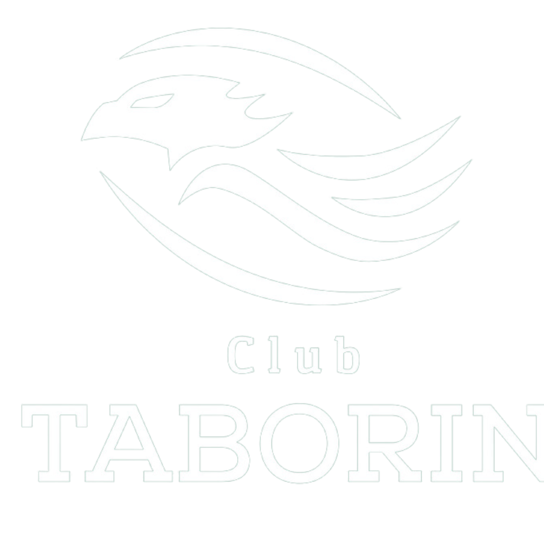 clubtaborin.com.ar